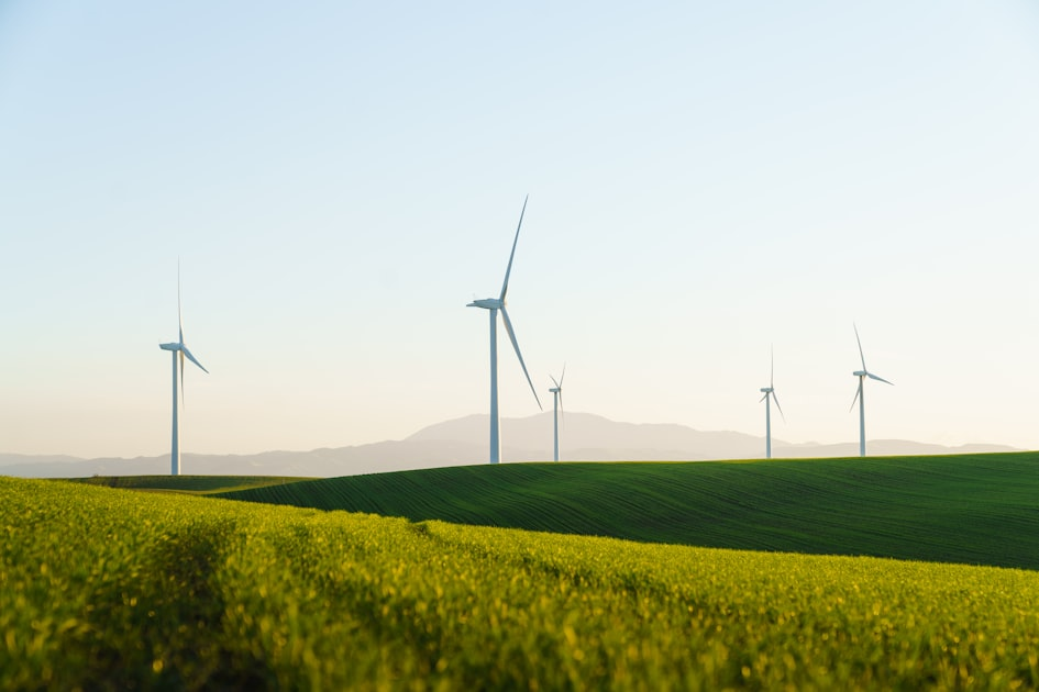 Consulenza Energetica: Un Passo Verso la Sostenibilità