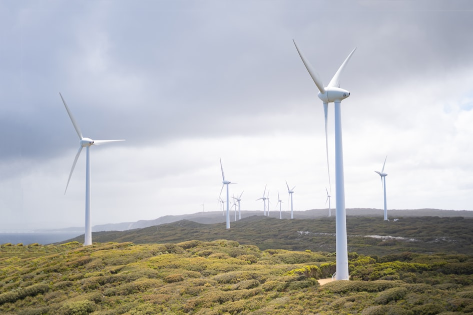 Interventi di Efficienza Energetica: Cosa Sapere